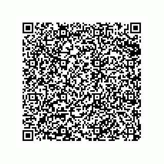 vCard 79501771317