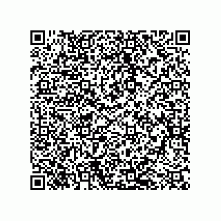 vCard 79501771331