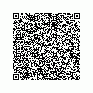 vCard 79501771333
