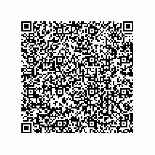 vCard 79501771339