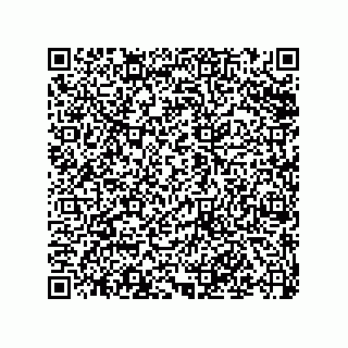 vCard 79501771379