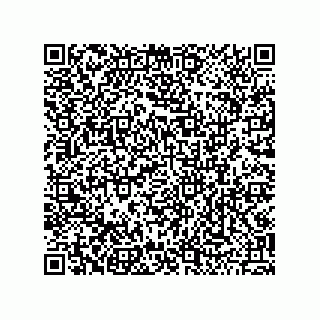 vCard 79501771380