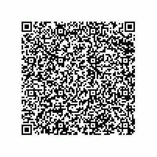 vCard 79501771382