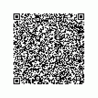 vCard 79501771387