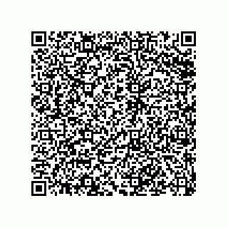vCard 79501771389