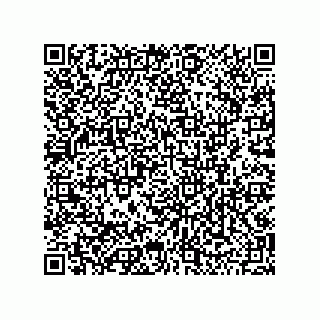 vCard 79501771399
