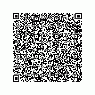 vCard 79501771429