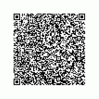 vCard 79501771528