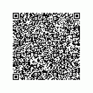 vCard 79501771533