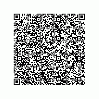 vCard 79501771537