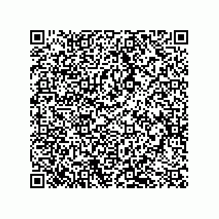 vCard 79501771919