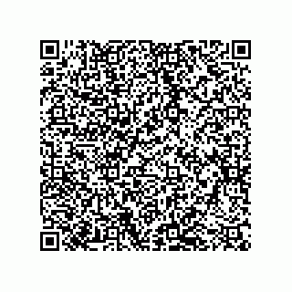 vCard 79501772411