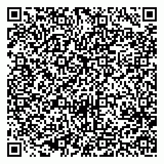 vCard 79510499931