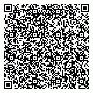 vCard 79510551711