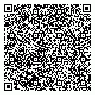 vCard 79510551729