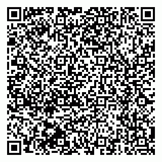 vCard 79510551733