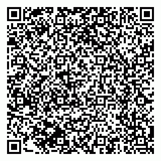 vCard 79510551745