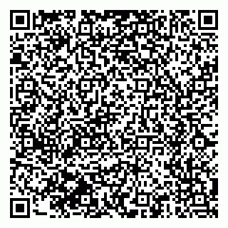 vCard 79510551747