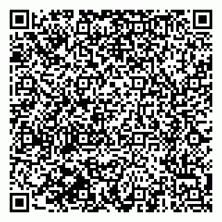 vCard 79510551813