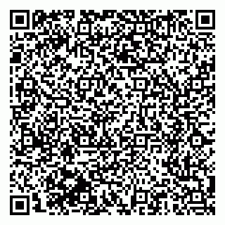 vCard 79510551908