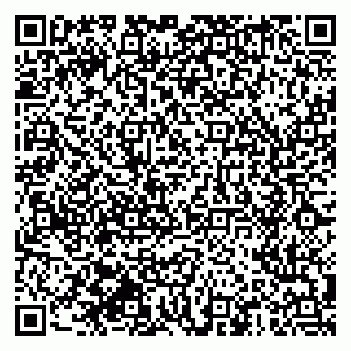 vCard 79510551929