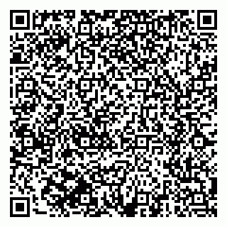 vCard 79510551935