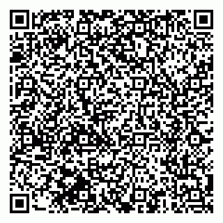 vCard 79510551963