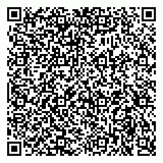 vCard 79510555131