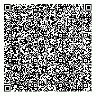 vCard 79510556305