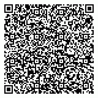 vCard 79510700089