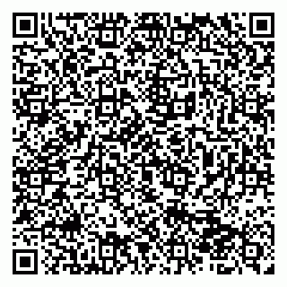 vCard 79510700161