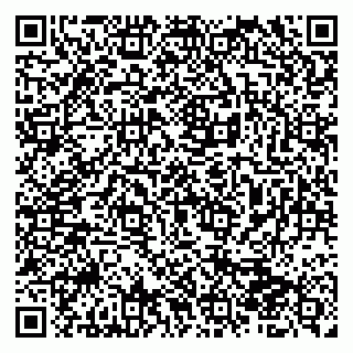 vCard 79510700163