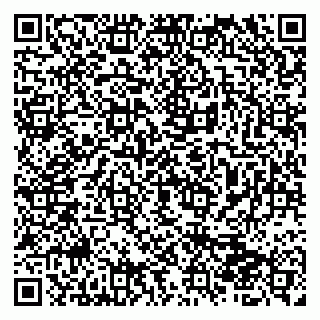 vCard 79510700173