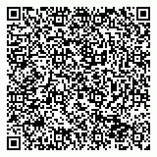 vCard 79510700181