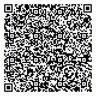 vCard 79510700209