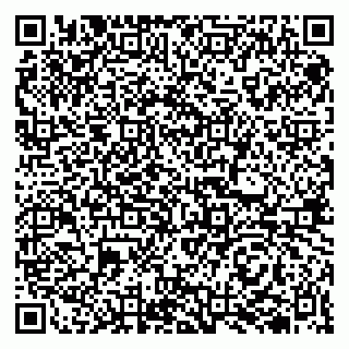 vCard 79510700221
