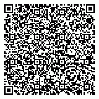 vCard 79510700251