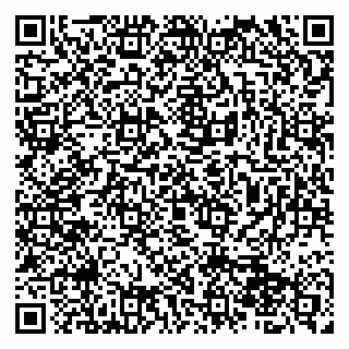 vCard 79510700255