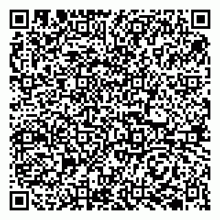 vCard 79510700289