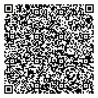 vCard 79510700297