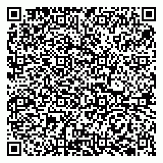 vCard 79510700299