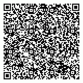 vCard 79510700301