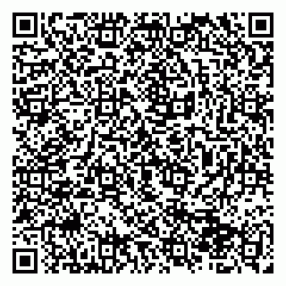 vCard 79510700315