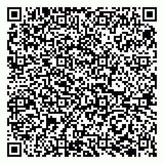 vCard 79510700318