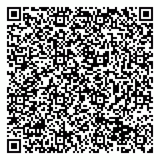 vCard 79510700329