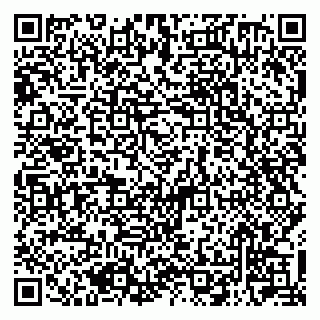 vCard 79510700331