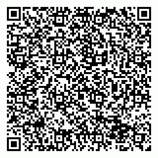 vCard 79510700370