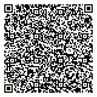 vCard 79510700378