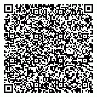 vCard 79510700382