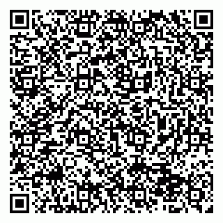 vCard 79510700383